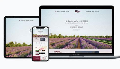 網(wǎng)站安全包括哪些內(nèi)容？