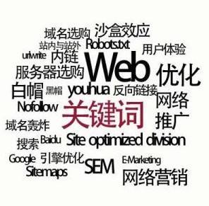 常用的seo專業(yè)術(shù)語有哪些？(圖1)