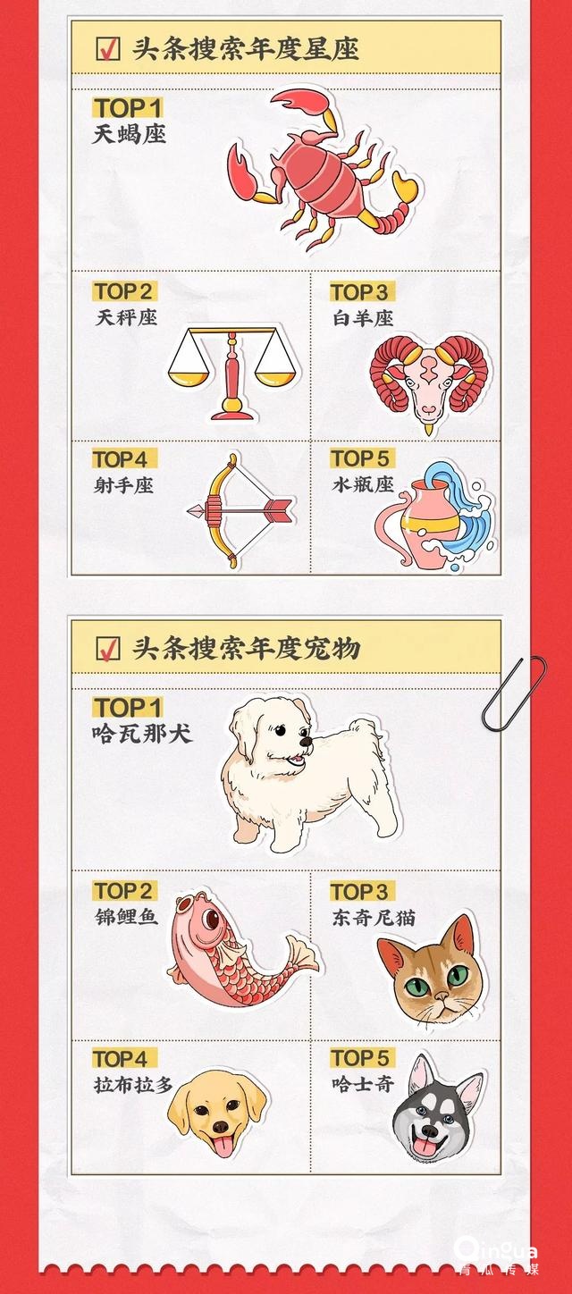 019頭條搜索年度榜單（18個分類完整版）"