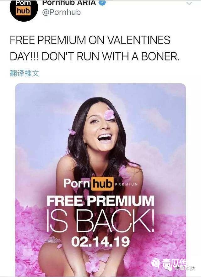 Pornhub，一個神奇的網站