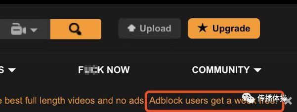 Pornhub，一個神奇的網站