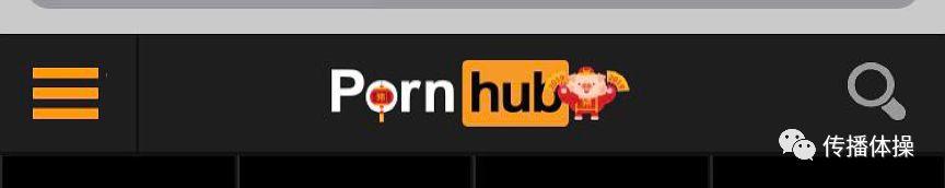 Pornhub，一個神奇的網站