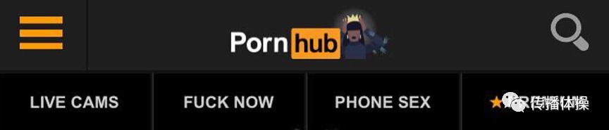 Pornhub，一個神奇的網站