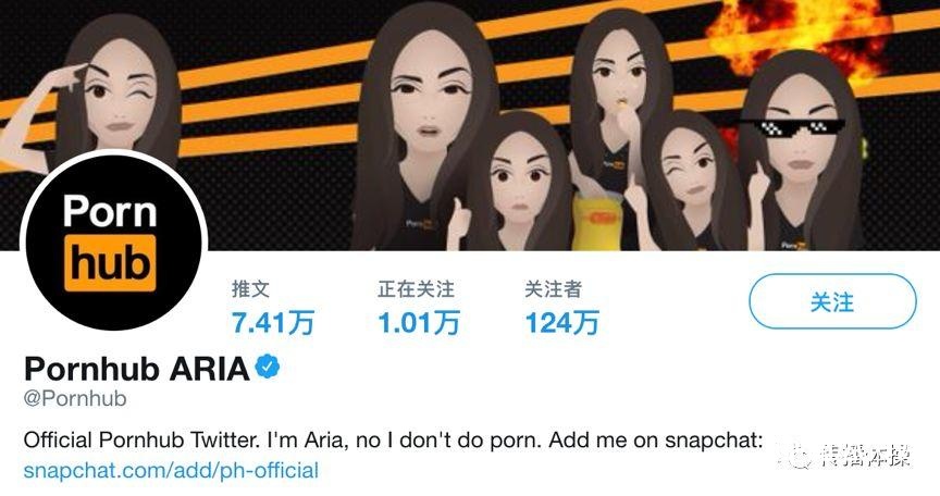 Pornhub，一個神奇的網站